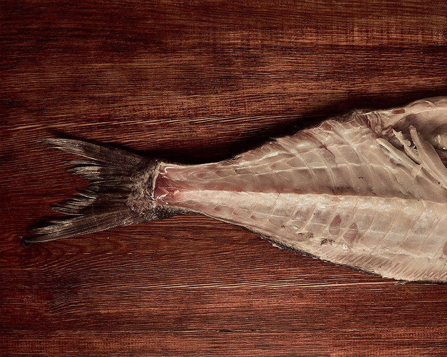 Carousel 1 (copy) (copy)